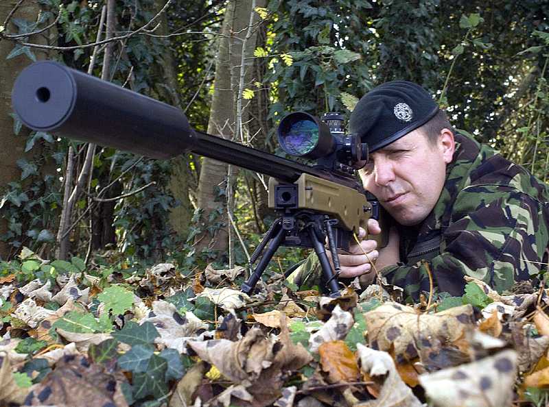 New_Bipod_on_SniperRifle1.jpg